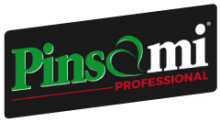 Logo Pinsami Professional